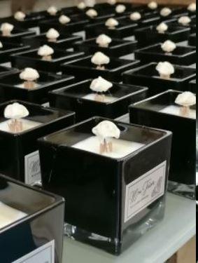 Capture 2 blanche de victoire noire